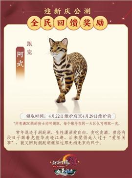 天龙八部私服凤凰神技